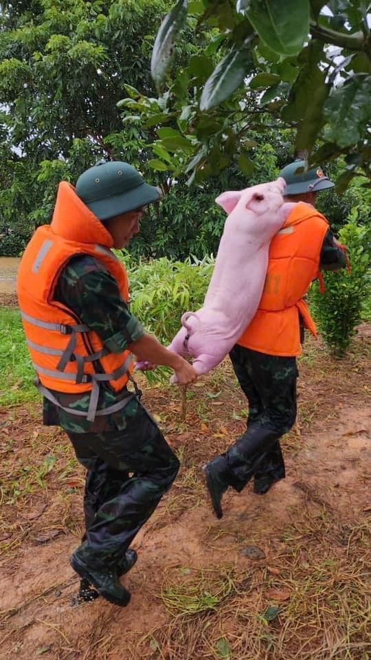 Loat anh dang yeu mua bao, khi nhung chu lon cung duoc so tan-Hinh-2