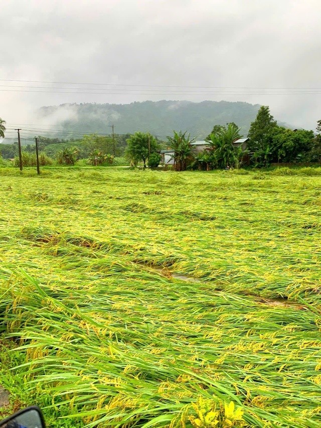 View - 	Toàn bộ 8 cửa đáy Thủy điện Tuyên Quang được mở xả lũ