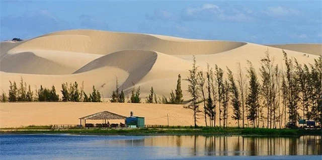 Sa mac lon nhat Viet Nam duoc vi nhu ban thu nho cua Sahara-Hinh-3