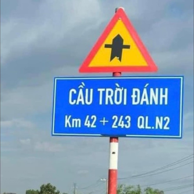 Nhung cay cau voi ten “doc nhat vo nhi” chi co o Viet Nam-Hinh-4