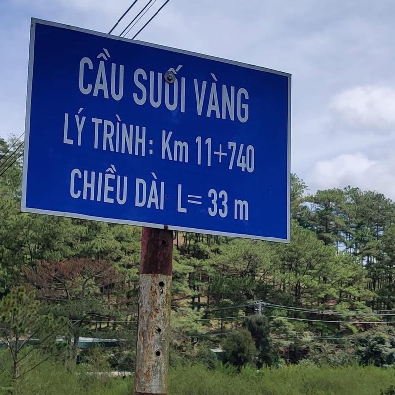 Nhung cay cau voi ten “doc nhat vo nhi” chi co o Viet Nam