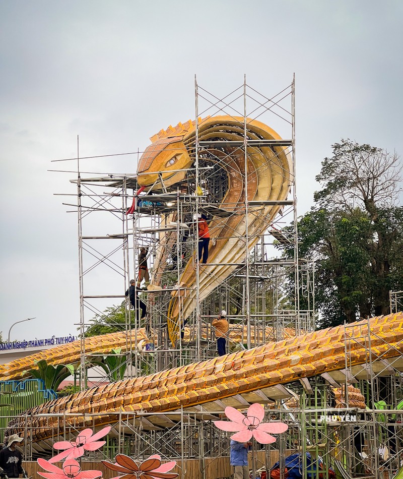 Cuoc dua linh vat Xuan At Ty: Da Nang, Phu Yen gay tram tro-Hinh-8