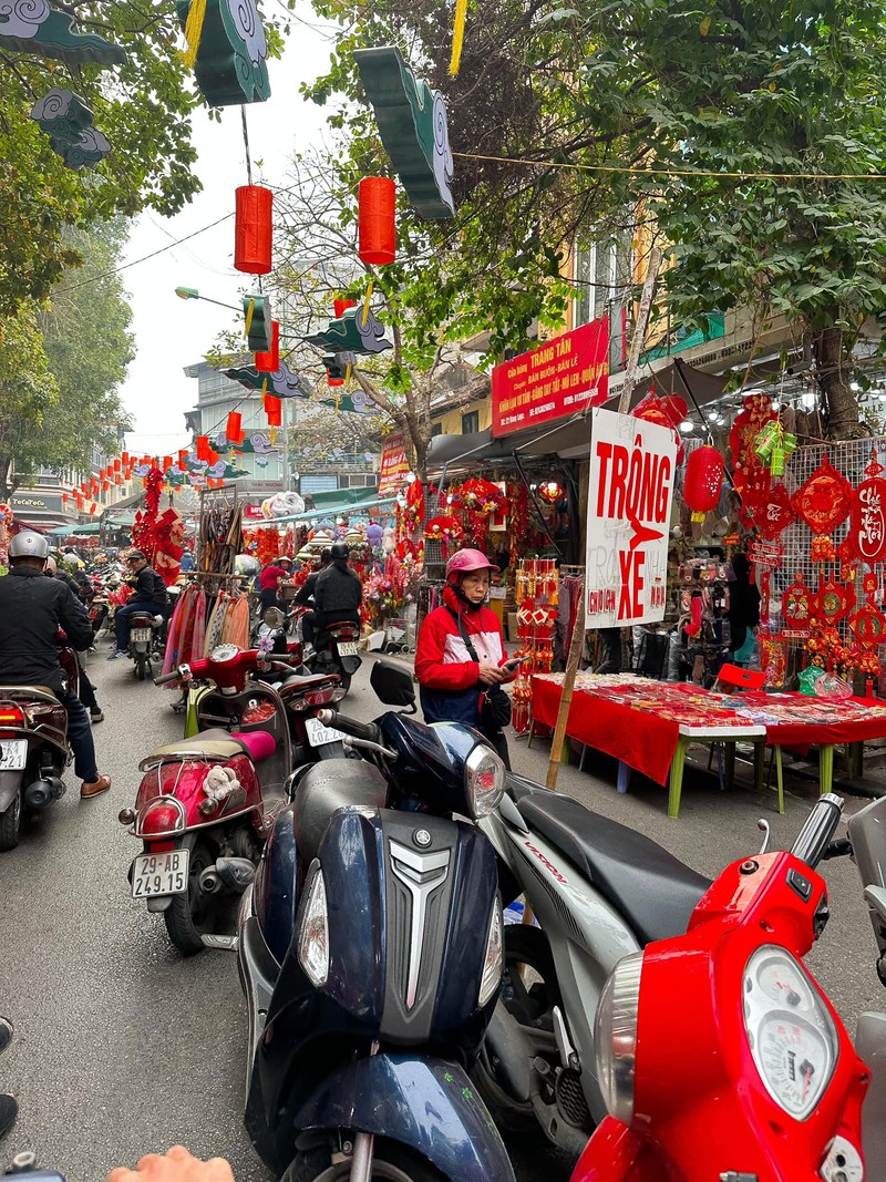 Hoa minh vao khong khi sam Tet nhon nhip o pho co Ha Noi-Hinh-3