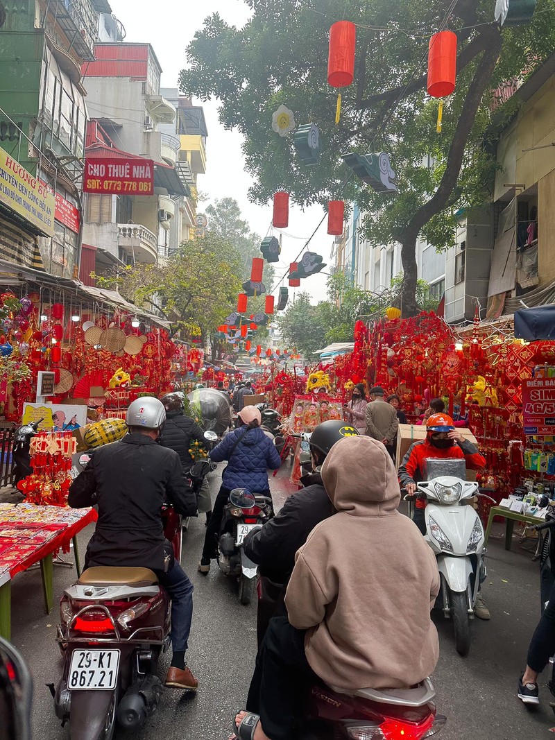 Hoa minh vao khong khi sam Tet nhon nhip o pho co Ha Noi