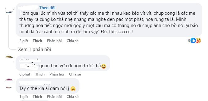 Check-in cay hoa sua hot nhat Ha Noi, nhieu nguoi gay tranh cai-Hinh-5