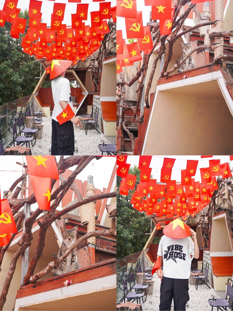 Trao luu decor co do sao vang tren do uong thu hut gioi tre-Hinh-2
