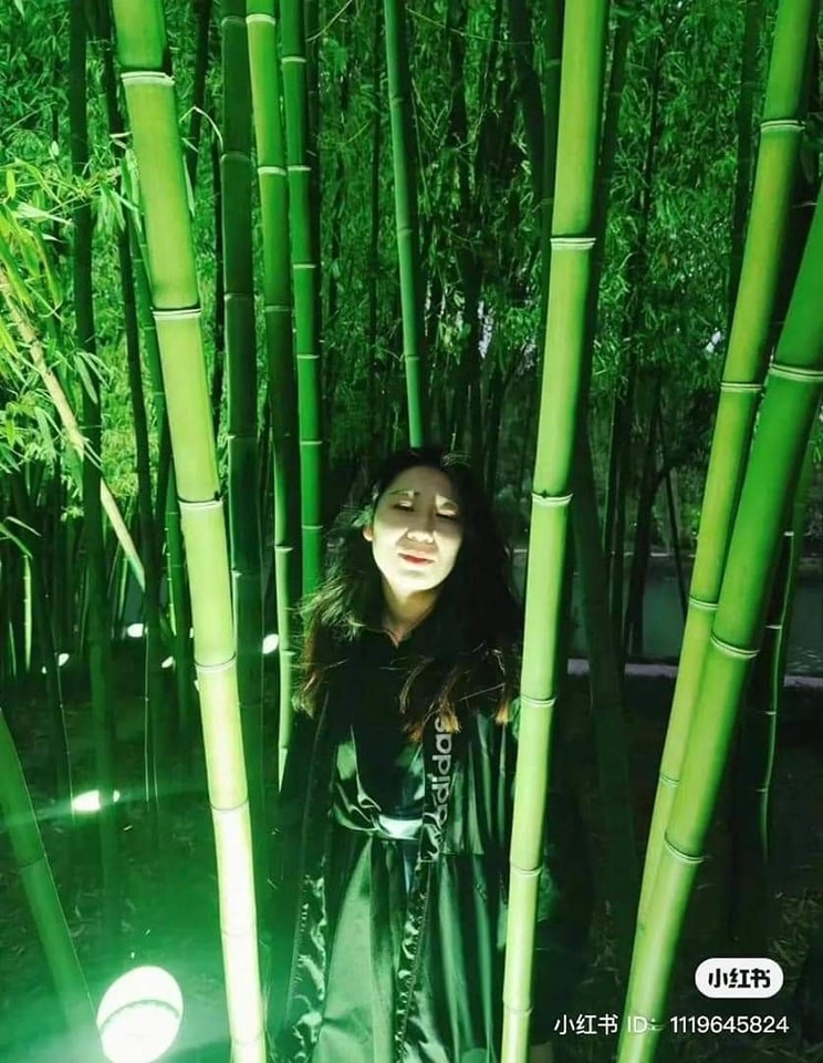 Dien bikini di bien, co gai nho ban trai chup anh va cai ket-Hinh-11