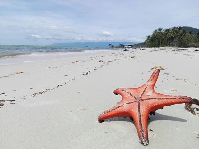 Lac buoc giua Vuong quoc sao bien an minh trong lang chai dep nhat VN-Hinh-6