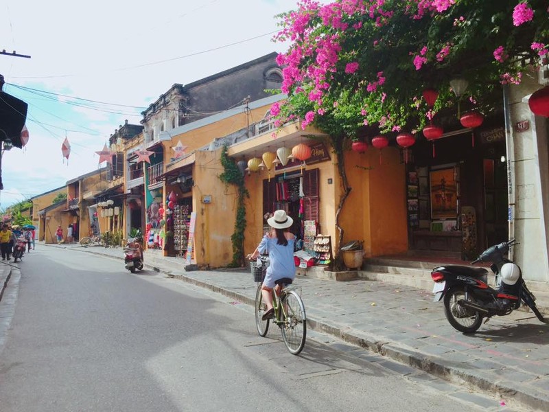 Du khach ron rang check-in voi gian hoa giay dep lim tim o Hoi An-Hinh-2