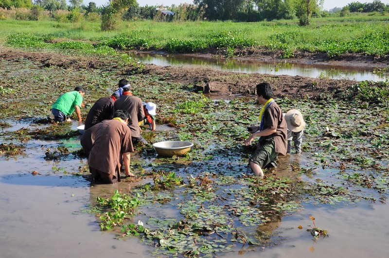 Nhung trai nghiem khong the bo lo khi ghe mien Tay vao mua nuoc noi-Hinh-6