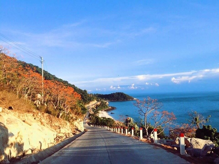 Ru nhau den Cu Lao Cham ngam hoa ngo dong nhuom do dao xanh