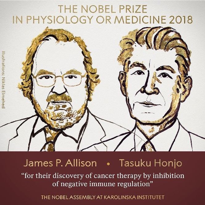 Chu nhan lieu phap dieu tri ung thu gianh Nobel Y hoc 2018