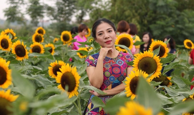 Hang tram nguoi chen chuc nhau check in o vuon huong duong Hai Phong-Hinh-4