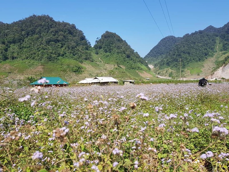 Lac vao thung lung Hang Kia, dep yen binh nhu co tich-Hinh-2