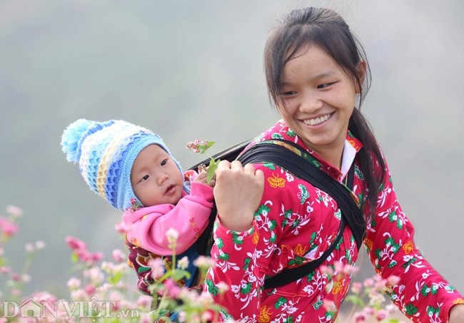 Anh: Me man nhung doi hoa tam giac mach o Ha Giang-Hinh-8