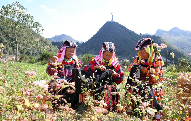 Anh: Me man nhung doi hoa tam giac mach o Ha Giang-Hinh-9