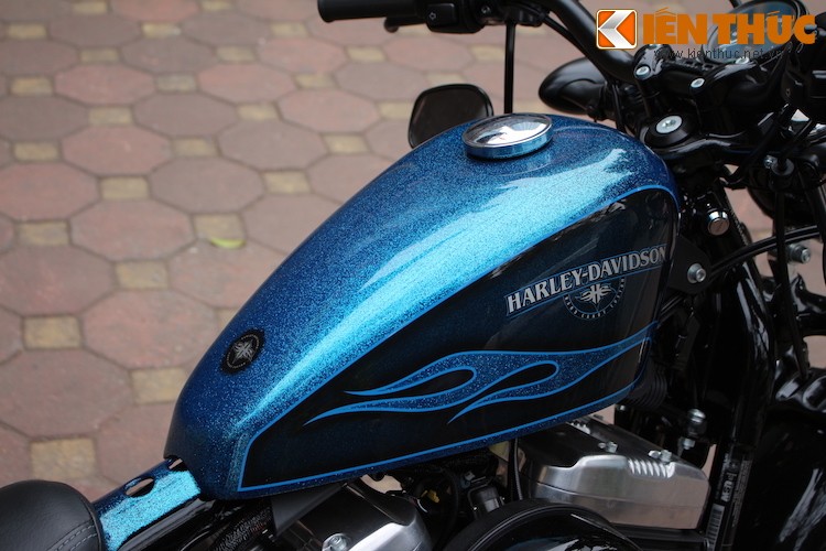 Moto Harley Forty-Eight 2016 “hang xach tay” gia 577 trieu-Hinh-9