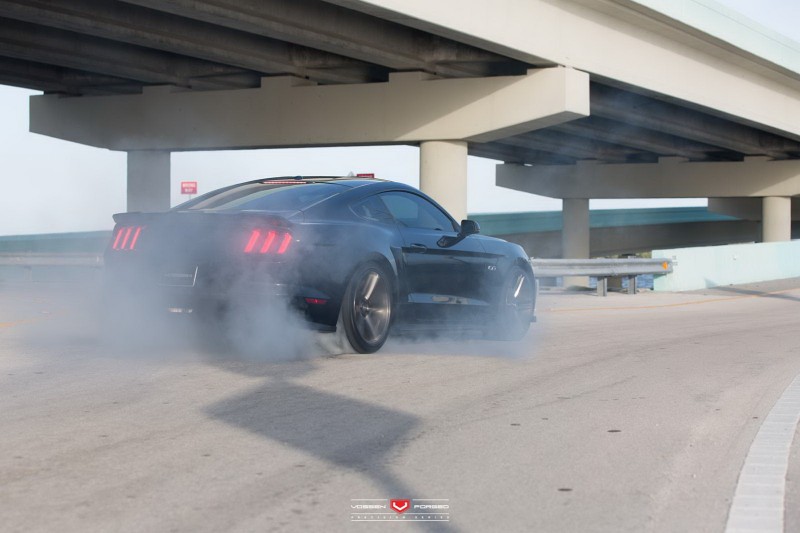 Ford Mustang GT 5.0 Roush do “sieu ngau, sieu manh“-Hinh-9