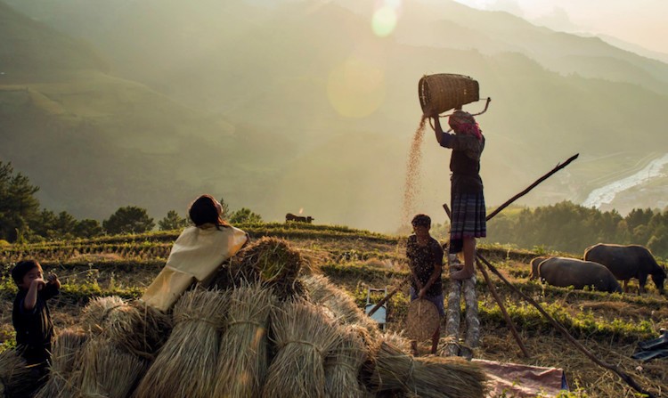 An tuong sac mau cuoc song trong &quot;Dau an Viet Nam&quot;-Hinh-3