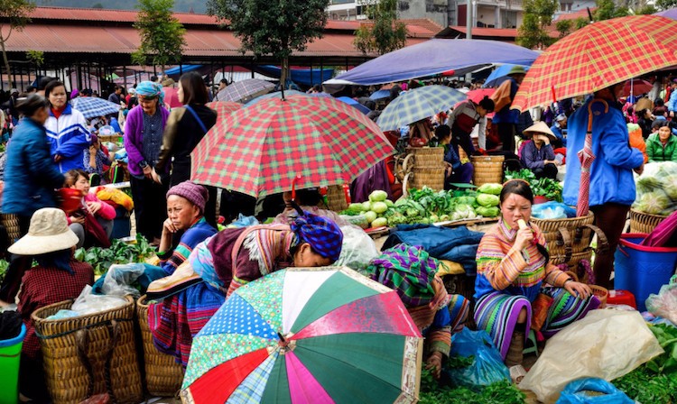 An tuong sac mau cuoc song trong &quot;Dau an Viet Nam&quot;-Hinh-4