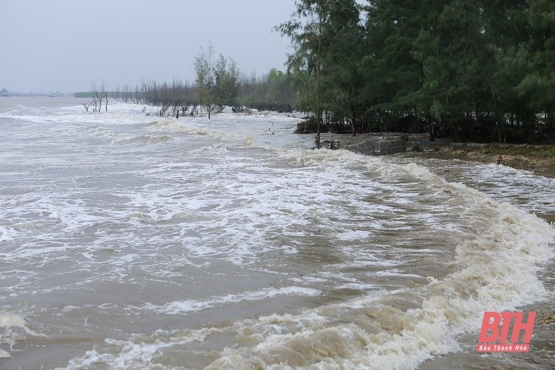 Thanh Hoa cong bo tinh huong khan cap sat lo, xam thuc cua Lach Hoi-Hinh-3