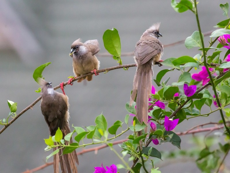 Ai sinh thang Am lich nay hoa giai moi kho khan, xui xeo-Hinh-3