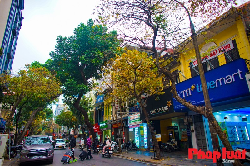 Ha Noi khuc giao mua-Hinh-12