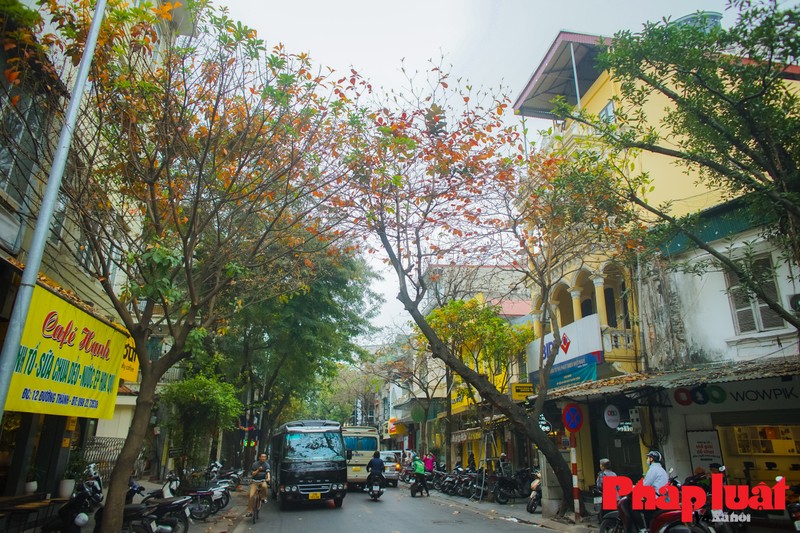 Ha Noi khuc giao mua-Hinh-2