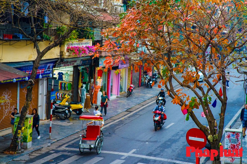 Ha Noi khuc giao mua-Hinh-22