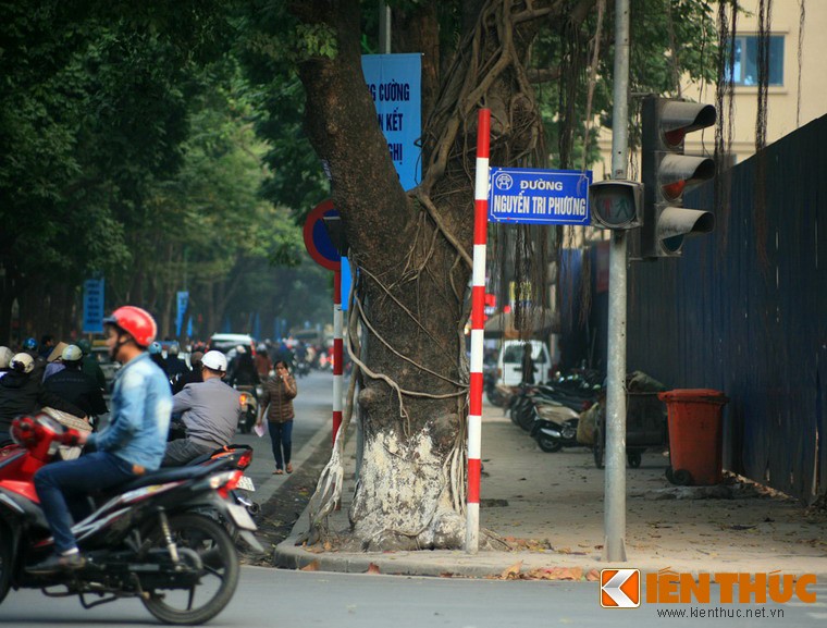 “Ma cay” bop co man ro giua ban ngay o Ha Noi-Hinh-5