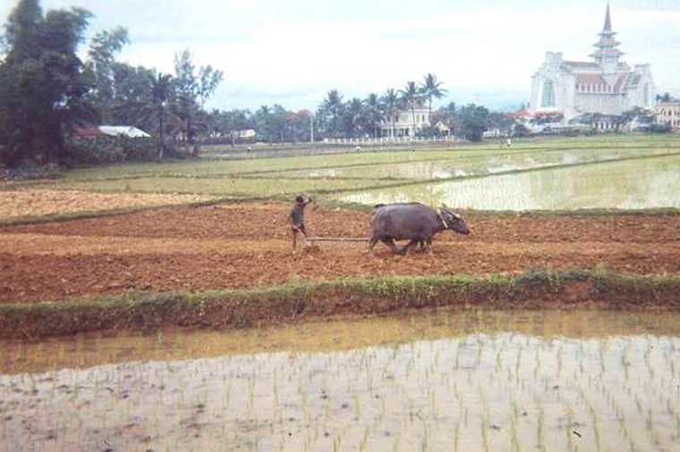 Loat anh hiem co kho tim ve Co do Hue 61 nam truoc-Hinh-6