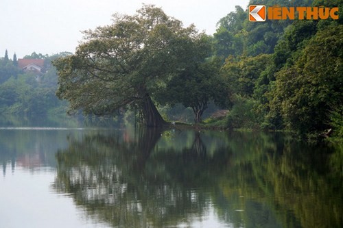 Ngo ngang truoc “vinh Ha Long” o dat to Hung Vuong-Hinh-4