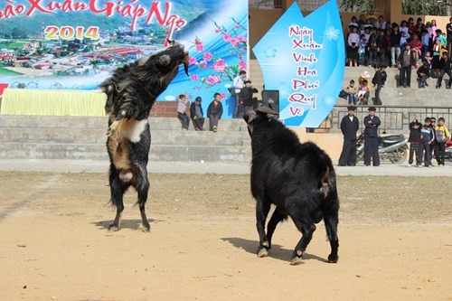 Kham pha nhung le hoi choi de doc dao nhat Viet Nam-Hinh-2