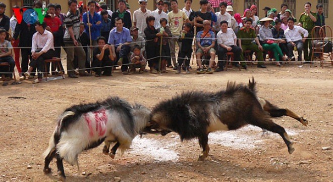 Kham pha nhung le hoi choi de doc dao nhat Viet Nam-Hinh-5