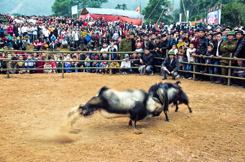 Kham pha nhung le hoi choi de doc dao nhat Viet Nam-Hinh-7