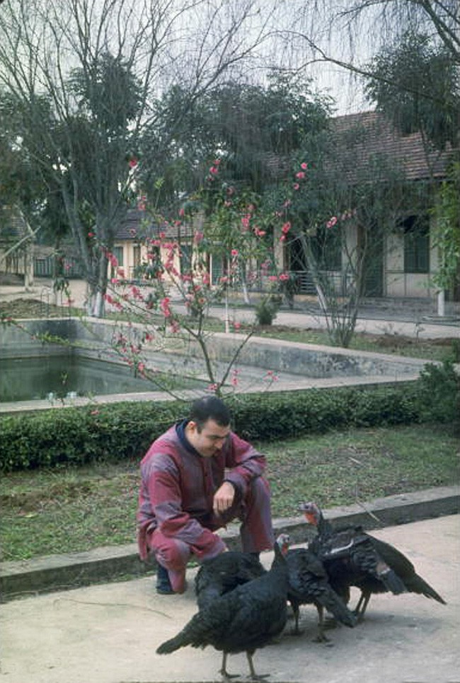 Anh mau cuc hiem ve mien Bac Viet Nam nam 1967 (1)-Hinh-12