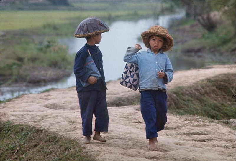 Anh mau cuc hiem ve mien Bac Viet Nam nam 1967 (2)-Hinh-2
