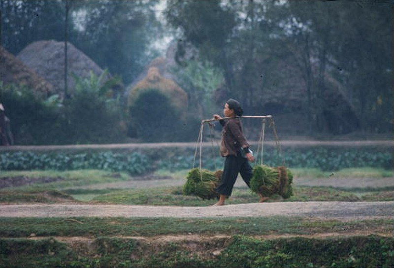 Anh mau cuc hiem ve mien Bac Viet Nam nam 1967 (2)-Hinh-7