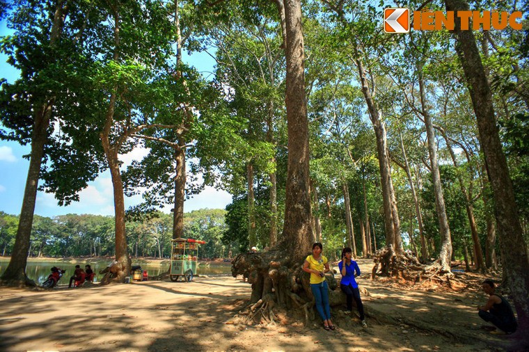 Lac vao rung co thu ky quai giua thanh pho o VN-Hinh-10