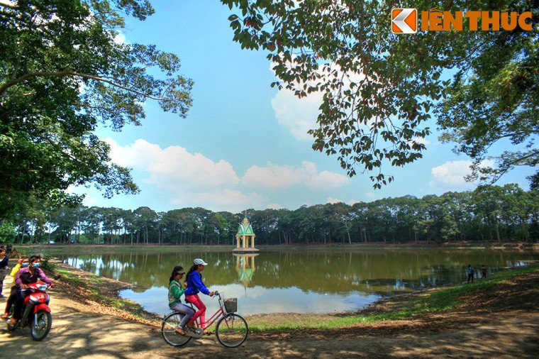 Lac vao rung co thu ky quai giua thanh pho o VN