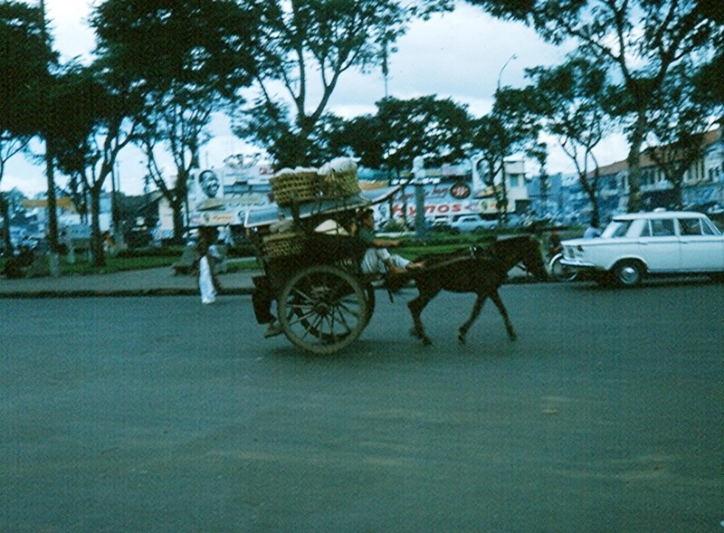 Sai Gon nam 1965 trong anh cua Robert Gauthier (4)-Hinh-5