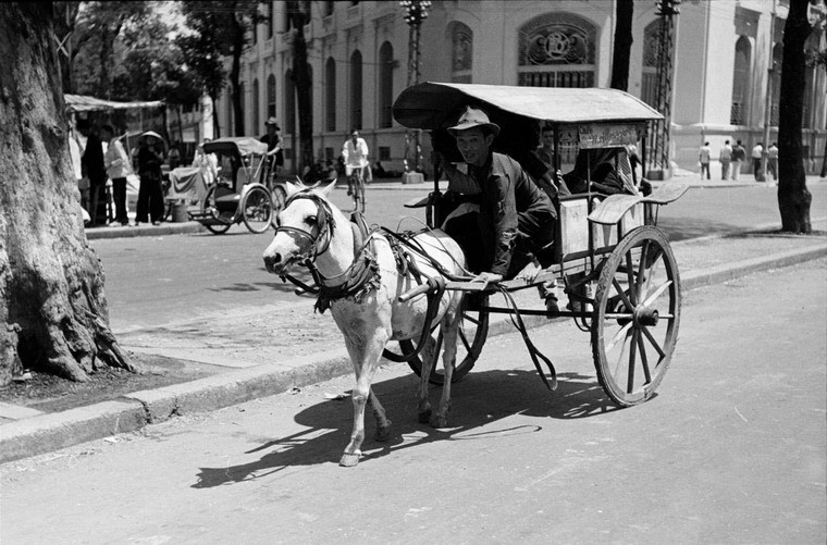 Anh doc ve ke sinh nhai o Sai Gon nam 1950 (1)-Hinh-11