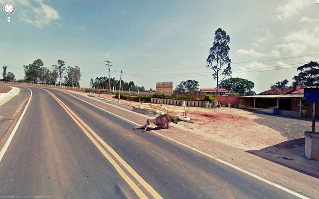 Nhung buc anh chup tu Google Street View sieu kinh di (1)-Hinh-10