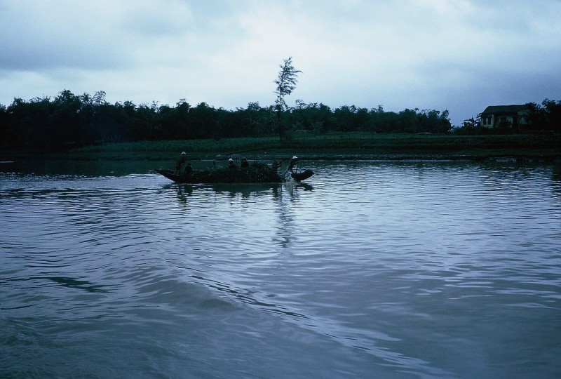 Anh hiem ve Quang Tri nam 1967 cua Therese Cline (2)-Hinh-12