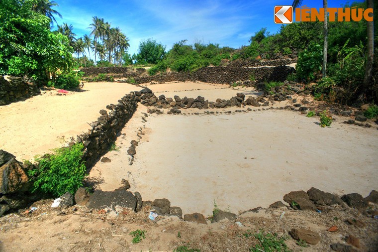 Tan muc ruong bac thang la lung giua bien khoi Ly Son-Hinh-8