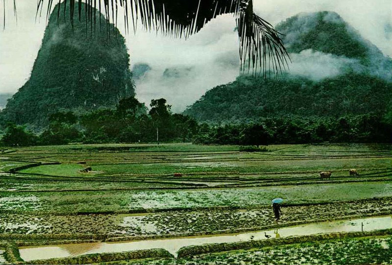 Cuoc song ben song Mekong 1968 qua loat anh National Geographic (1)-Hinh-9