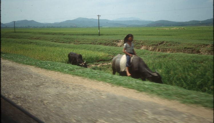 Anh cuc doc ve giao thong Viet Nam thap nien 1980-Hinh-10