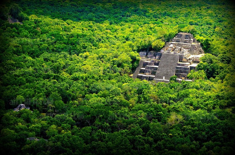 Kham pha thanh pho co Calakmul cua nguoi Maya-Hinh-8