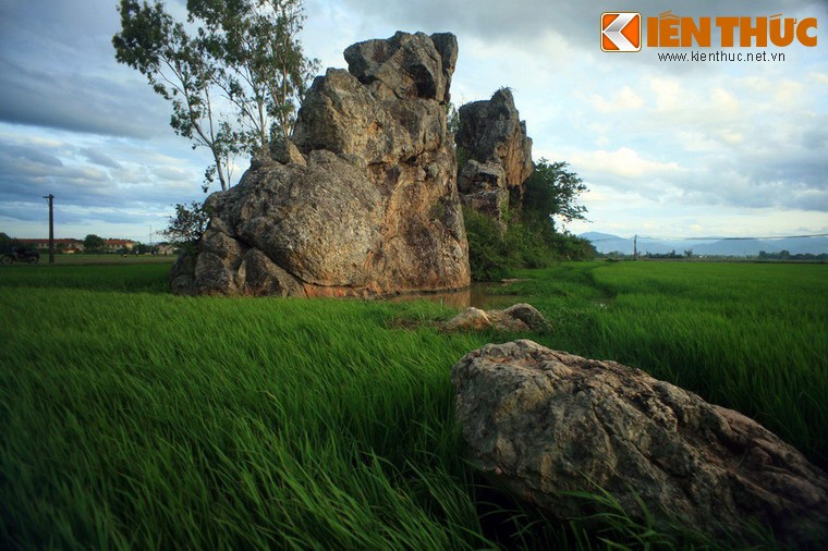 Ngam ky quan da khong lo giua dong lua o Phu Yen-Hinh-2