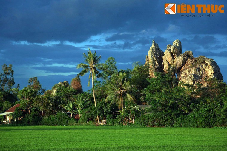 Ngam ky quan da khong lo giua dong lua o Phu Yen-Hinh-8